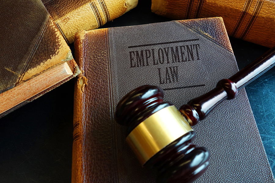 Businesses Need Employment Lawyers Too